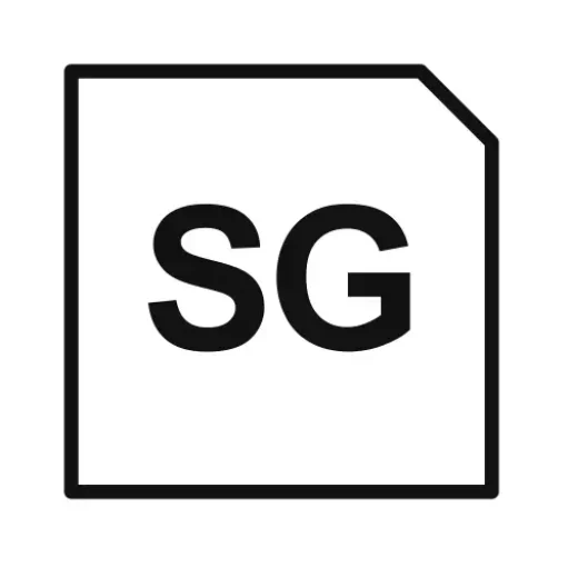 Sina Ghanei Website Logo